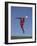 Soccer Player in Action-null-Framed Photographic Print