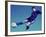 Soccer Player Jumping in Mid Air to Kick a Soccer Ball-null-Framed Photographic Print