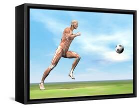 Soccer Player Musculature Running after Soccer Ball-null-Framed Stretched Canvas