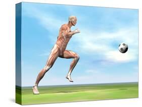 Soccer Player Musculature Running after Soccer Ball-null-Stretched Canvas