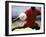 Soccer Player Preparing to Kick Ball-null-Framed Photographic Print