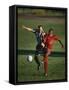 Soccer Players Fighting for the Ball-null-Framed Stretched Canvas