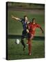 Soccer Players Fighting for the Ball-null-Stretched Canvas