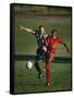 Soccer Players Fighting for the Ball-null-Framed Stretched Canvas