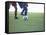 Soccer players from opposing teams compete for the ball during a game-null-Framed Stretched Canvas