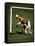 Soccer Players in Action-null-Framed Stretched Canvas