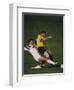 Soccer Players in Action-null-Framed Premium Photographic Print