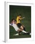 Soccer Players in Action-null-Framed Photographic Print