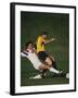 Soccer Players in Action-null-Framed Photographic Print