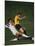 Soccer Players in Action-null-Mounted Photographic Print