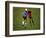 Soccer Players in Action-null-Framed Photographic Print