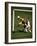 Soccer Players in Action-null-Framed Photographic Print