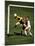 Soccer Players in Action-null-Mounted Photographic Print