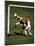 Soccer Players in Action-null-Mounted Photographic Print