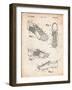 Soccer Shoes Patent-Cole Borders-Framed Art Print