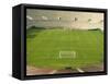 Soccer Stadium and Field-David Madison-Framed Stretched Canvas