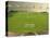 Soccer Stadium and Field-David Madison-Stretched Canvas