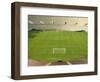 Soccer Stadium and Field-David Madison-Framed Photographic Print