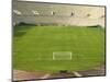 Soccer Stadium and Field-David Madison-Mounted Photographic Print