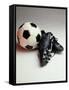 Soccer Still Life-null-Framed Stretched Canvas