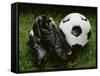 Soccer Still Life-null-Framed Stretched Canvas