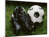 Soccer Still Life-null-Mounted Premium Photographic Print