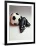 Soccer Still Life-null-Framed Photographic Print