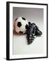 Soccer Still Life-null-Framed Photographic Print