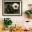 Soccer Still Life-null-Framed Photographic Print displayed on a wall