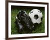 Soccer Still Life-null-Framed Photographic Print