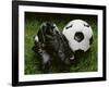 Soccer Still Life-null-Framed Photographic Print