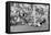 Soccer: World Cup, 1970-null-Framed Stretched Canvas