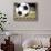 Soccer-Todd Williams-Stretched Canvas displayed on a wall