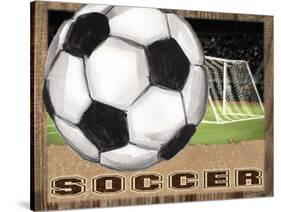 Soccer-Todd Williams-Stretched Canvas