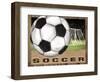 Soccer-Todd Williams-Framed Art Print