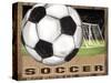 Soccer-Todd Williams-Stretched Canvas