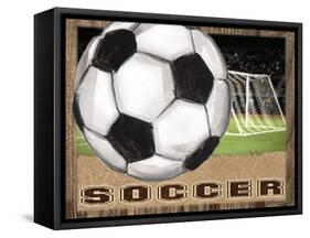 Soccer-Todd Williams-Framed Stretched Canvas