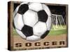 Soccer-Todd Williams-Stretched Canvas