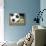 Soccer-Todd Williams-Art Print displayed on a wall