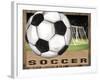 Soccer-Todd Williams-Framed Art Print