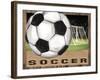 Soccer-Todd Williams-Framed Art Print