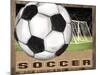 Soccer-Todd Williams-Mounted Art Print