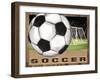 Soccer-Todd Williams-Framed Art Print