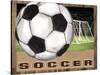 Soccer-Todd Williams-Stretched Canvas