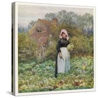 Social, Cabbage Cutting-Helen Allingham-Stretched Canvas