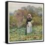 Social, Cabbage Cutting-Helen Allingham-Framed Stretched Canvas