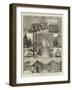 Social Life in New Zealand-null-Framed Giclee Print