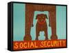 Social Security Choc-Stephen Huneck-Framed Stretched Canvas