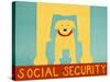 Social Security Yellow-Stephen Huneck-Stretched Canvas