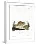 Social Vole-null-Framed Giclee Print